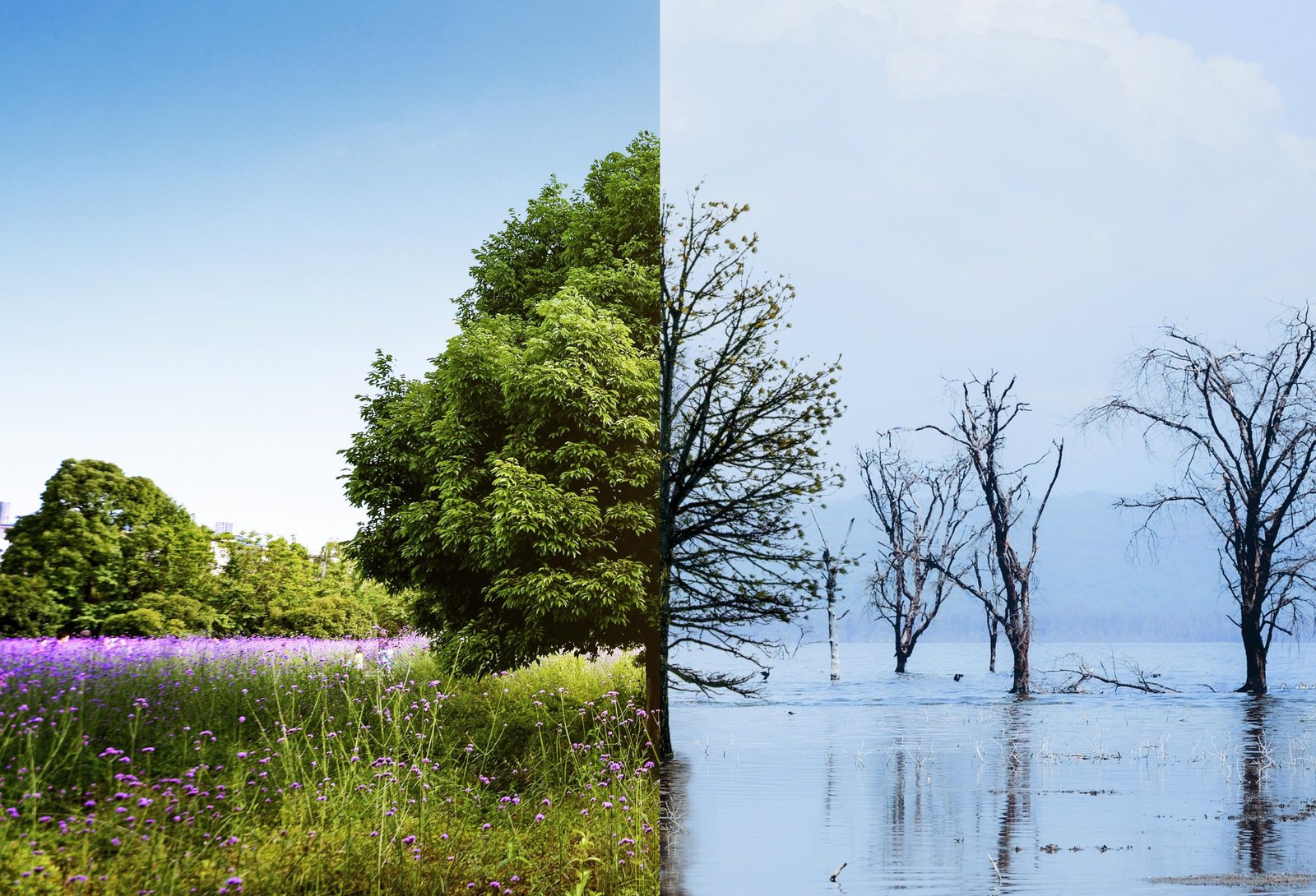 Lo que quiso decir Carstens climate change concept collage