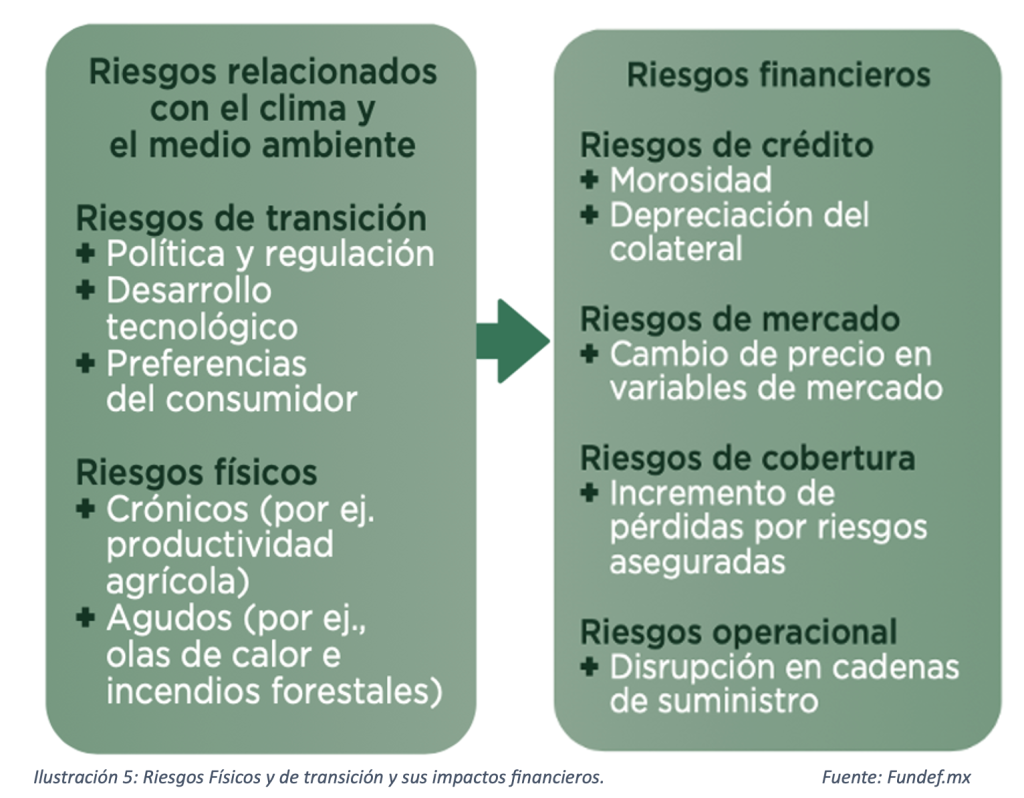 El reto de la divulgación ASG en los estados financieros y la evolución al IFRS. captura de pantalla 2026 07 06 a la(s) 1.17.44 p.m.