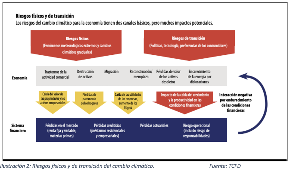 El reto de la divulgación ASG en los estados financieros y la evolución al IFRS. captura de pantalla 2026 07 06 a la(s) 12.53.35 p.m.
